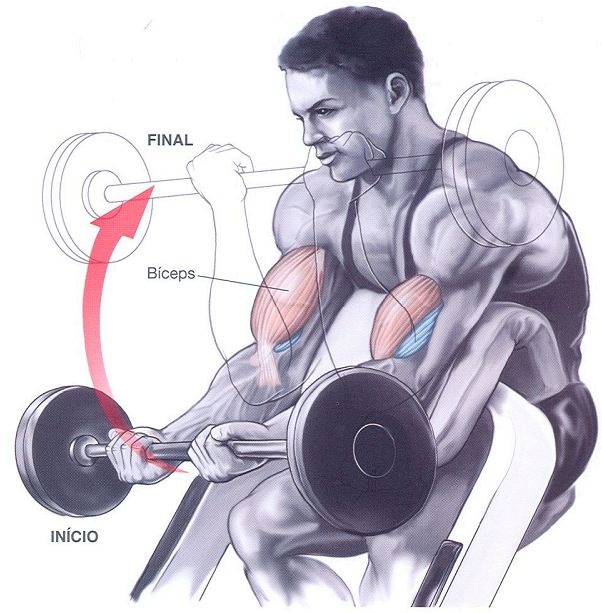 Treino de bíceps: confira os exercícios que não podem ficar de